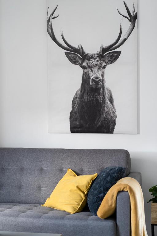 APARTMÁNY DRING room 6